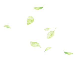 donation-leaf